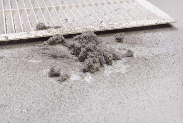 Best Ductwork Cleaning Services  in Neenah, WI