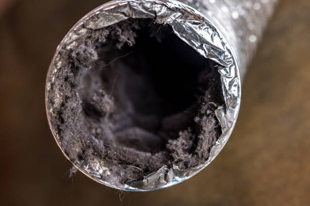 Best Affordable Duct Cleaning Services  in Neenah, WI