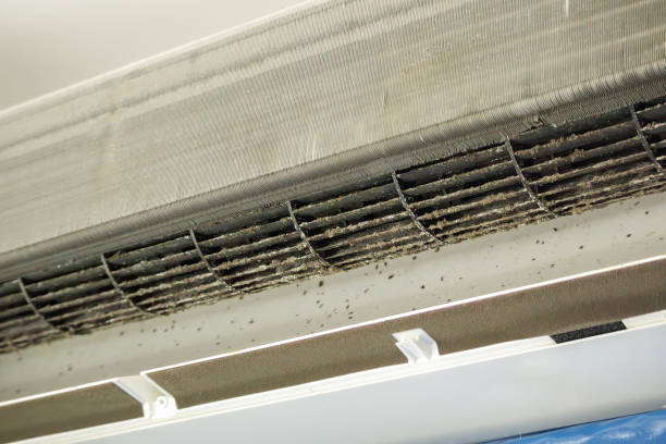 Best Air Duct Cleaning Near Me  in Neenah, WI